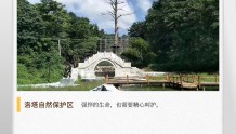 湖湘自然历丨万类霜天竞自由㉘3株树，一个自然保护区