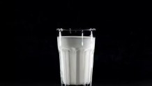 不同人群如何选择适合自己的牛奶？