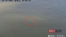 “水中大熊猫”再现禁捕重点水域，长江鄂州段出现多只江豚