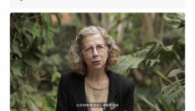 联合国环境署英格·安德森:祝贺联大通过健康环境权的历史性决议！  中国绿发会
