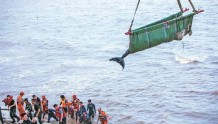 中国摄影报头版照片 |“鲸”险营救