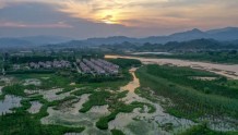 2022浙江生态环境“半年报”出炉 你的家乡怎么样？