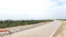 大河滔滔︱再生水浇灌出艾西曼万亩绿海