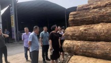 太原市晋源区对木材加工市场开展联合检疫检查