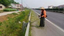 鼎城：公路绿化养护忙