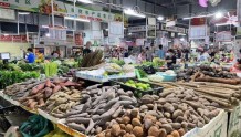 海南屯昌“菜篮子”每日蔬菜供应量20吨 保障市场菜多价稳