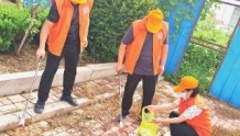 莒县经济开发区“志愿橙”创“城市绿”
