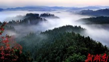 花岩溪国家森林公园：游天然氧吧 做一帘幽梦