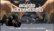 2022年北京生物多样性自然观察活动数码大赛招募