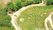 恩平推进水网改造及灌区渠系连通工程 打通农业“命脉” 助撂荒地“复绿”