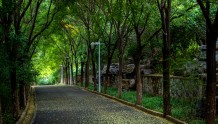 北京园博园永定塔下多了条“暗绿通道”