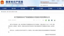 武汉光谷入选国家级知识产权强国建设示范园区