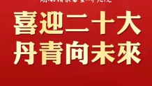 “喜迎二十大 丹青向未来”——湖南清泉书画研究院个人书画作品线上巡展启动