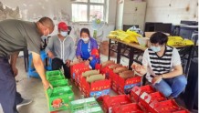 新疆：产销对接 缓解农副产品“买难”“卖难”