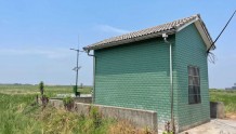 农作物"专属"天气预报！宁波有了首个稻田气象观测站