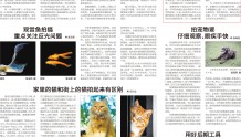 【中国摄影报】宠物摄影的诀窍是耐心