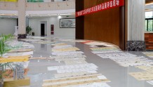 “青墩古韵”江苏省甲骨文书法篆刻作品在南通海安评审
