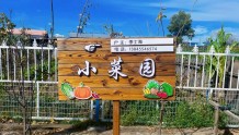 黑龙江明水县：“小菜园”播种希望 结出致富增收“硕果”