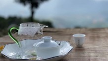 秋天适合喝什么白茶？春茶、秋茶或是老白茶？