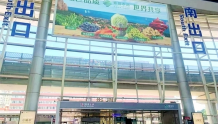 庆丰收 迎盛会丨北京南站“青岛农品”站C位 探索品牌“出圈”新路