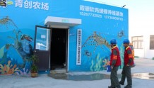 国网温州市洞头区供电公司： 电力赋能 贴心电为蟹“充电”