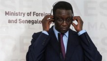 塞内加尔总统任命新总理，为3年来首次