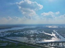 沧州南大港湿地：水澄镜朗 云天水色美如画