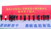 陇西县中医药信息物流港基础设施项目开工建设