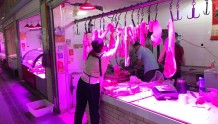 9月第二次投放！国家储备猪肉分批进入市场，武汉的肉价稳中略降