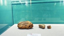 左江远古文明——左江流域史前文化展