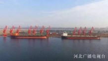 黄骅港河钢码头海关监管区实现扩容升级