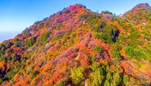 秦岭生态旅游季秋季活动开启