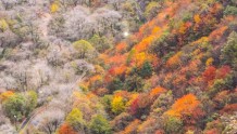 赏秋邂逅铜川溪山胜境最美的季节  距西安1个多小时