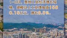 规上工业增加值增速全省第一！惠州1-8月经济“成绩单”发布