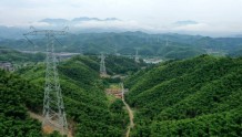 浙江通过“双碳”背景下全国首部地方性电力法规 明年1月起施行