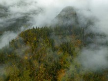 西藏林芝：云缠雾绕 层林尽染