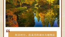 秋色斑斓｜北京市属公园彩叶观赏指南