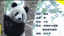 熊猫检察官表情包“甩着膀子”跑过来！