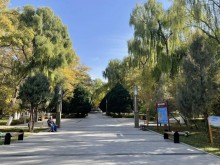 金昌秋韵丨龙泉公园里的秋，你get到了吗？