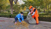 莱芜区城管局环卫服务中心：集中清理落叶 维护城市环境
