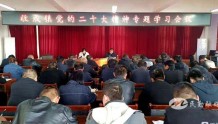 民勤县收成镇召开党的二十大精神专题学习会议