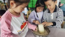 河口区湖滨新区幼儿园开展食育课程—“秋天的‘藕’遇”活动