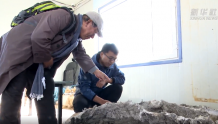 新华社：这里，一个月内发掘20余件恐龙化石 ！