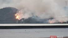 广东佛山突发山火晚8时仍在处置，附近工厂：已提前让员工下班