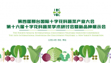 抓住“芯”机遇 共享新动能 第四届邢台国际十字花科蔬菜产业大会成功举办