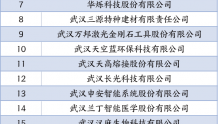 武汉新增8家知识产权示范企业，创历史最好成绩