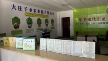 金塔县大庄子镇：强化农产品检测  守护"舌尖上的安全"
