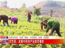 大竹县：发展中药材产业助农增收