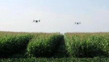 武威市大豆玉米带状复合种植机械化技术被树为全国典型案例
