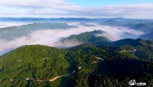 黔南州重大林业有害生物防控取得明显成效